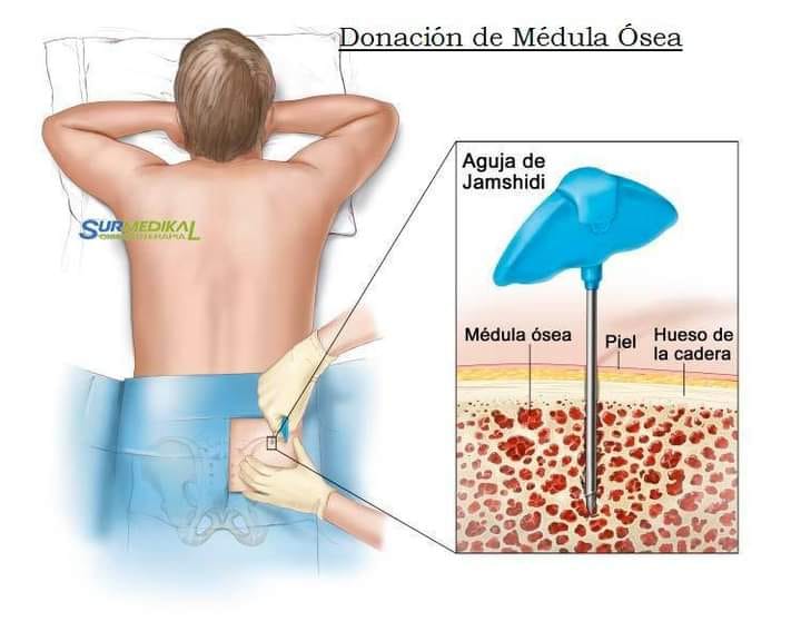 revista-sinapsis-informaci-n-tomada-de-surmedikal-ox-genoterapia