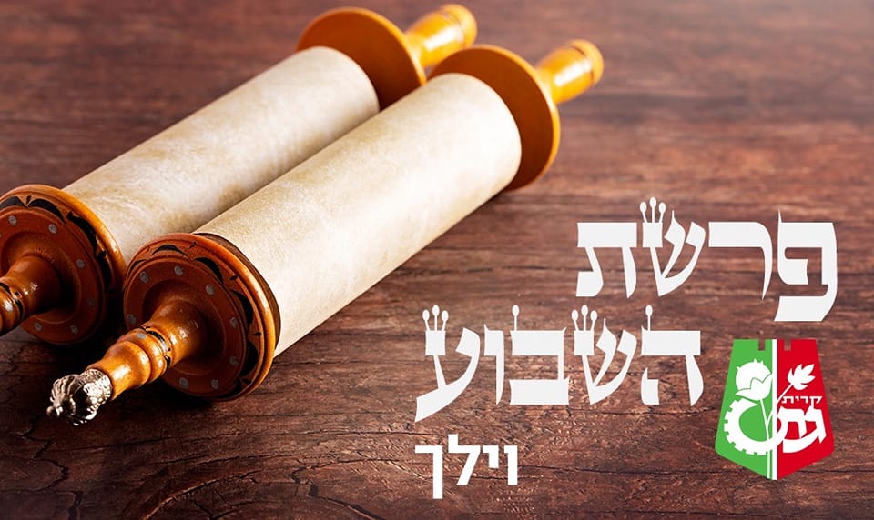 עיריית קריית גת - ב