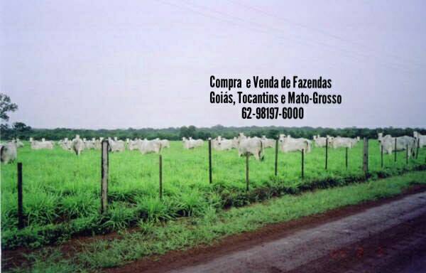 Rural Pará Imobiliária... - Rural Pará Imobiliária Fazendas