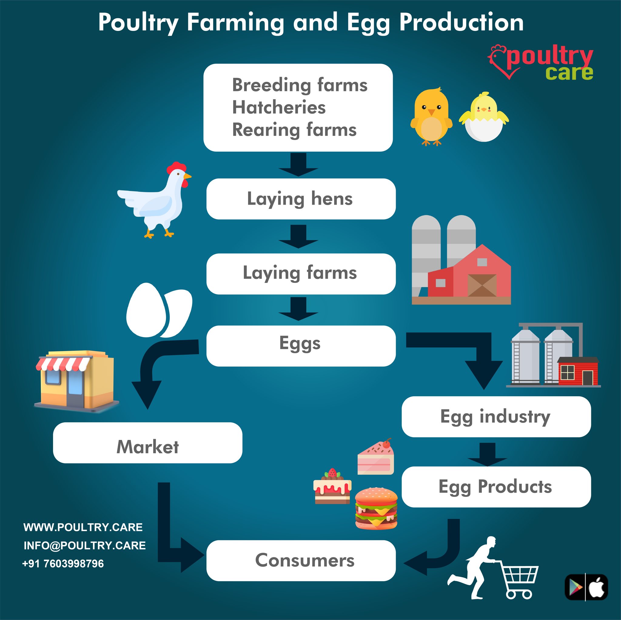 PoultryCare - Poultry farming and egg production For more: https://www ...