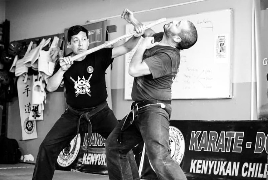 Bujinkan Renryu Dojo Chillán | Chillán