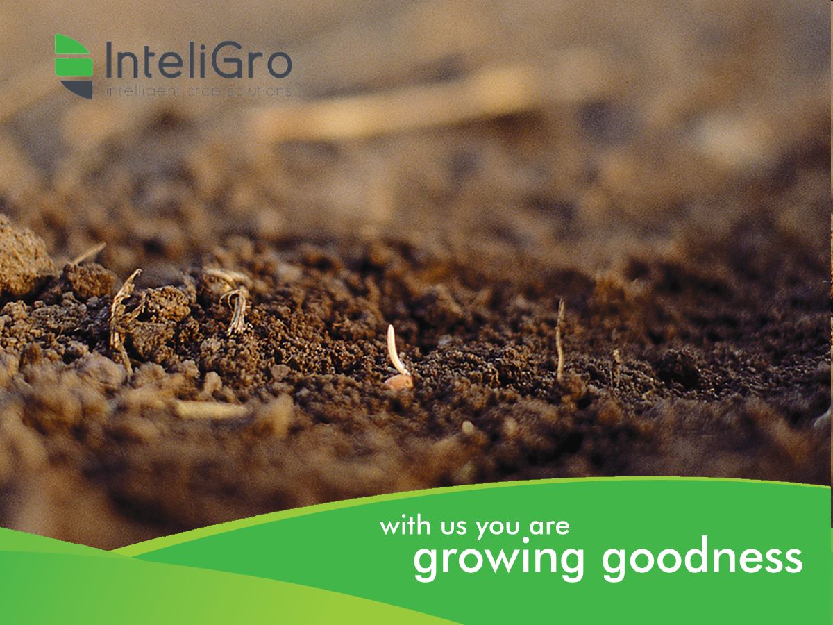 InteliGro - Soil structure is a measure of the arrangement... | Facebook