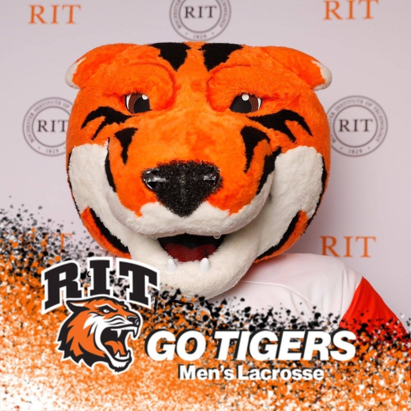 Ritchie the Tiger