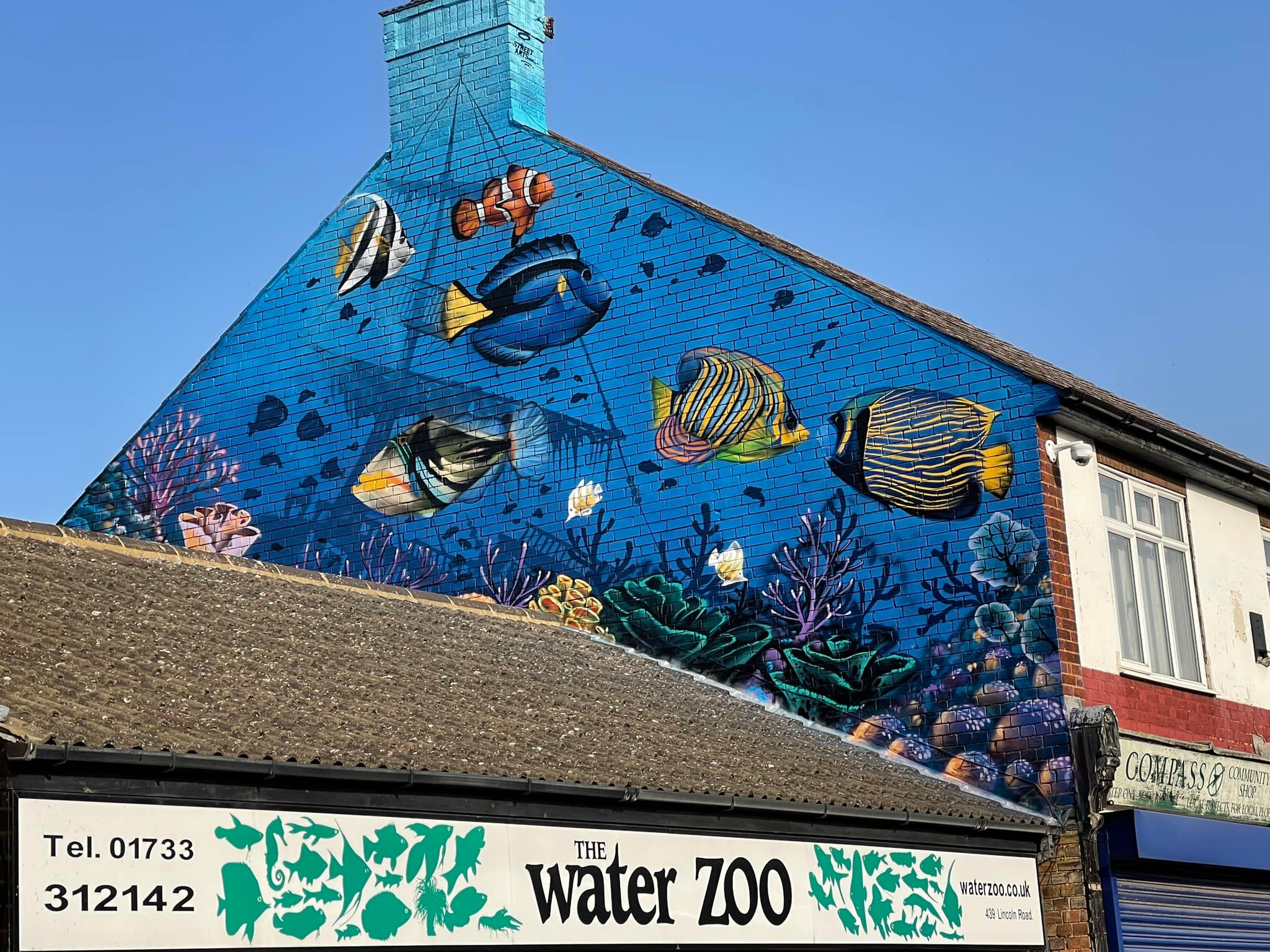 Maidenhead... - Maidenhead Aquatics at Peterborough Dobbies