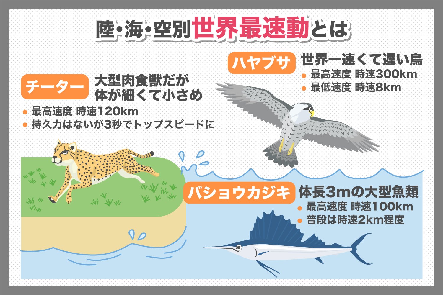 海 で 一 番 速い 生き物