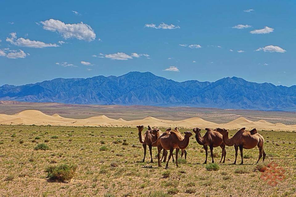 Mongolian Munkh tour | Ulaanbaatar