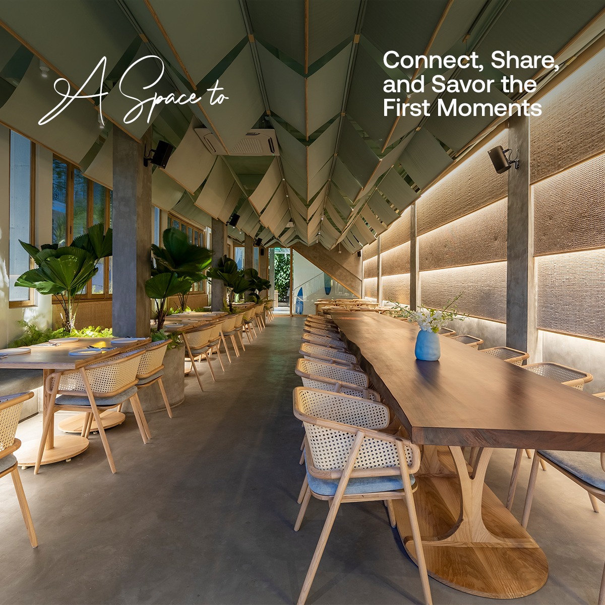 Ola Hale - Restaurant & Bar... - Ola Hale - Restaurant & Bar