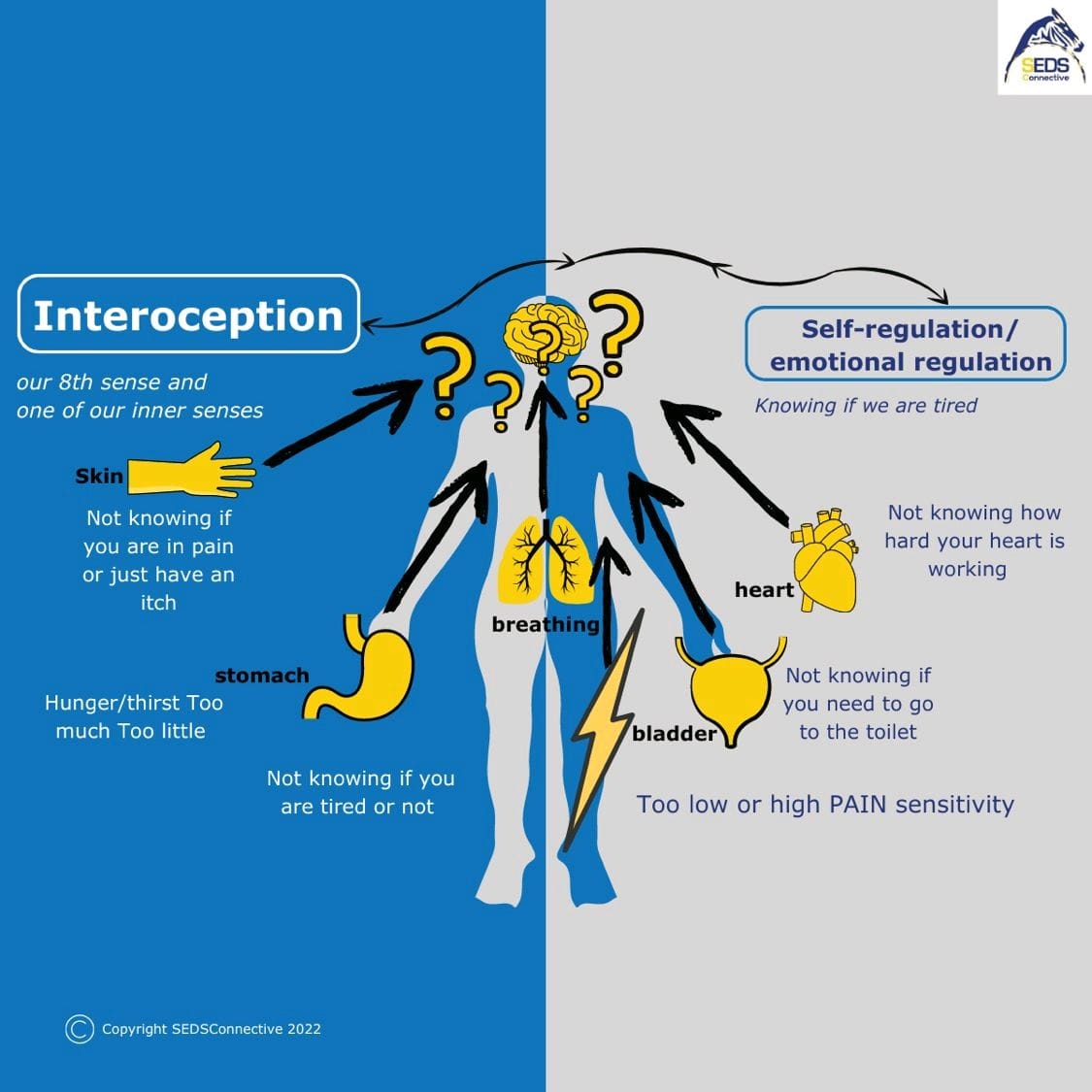 Everyone - Interoception is an important sensory system that helps us ...