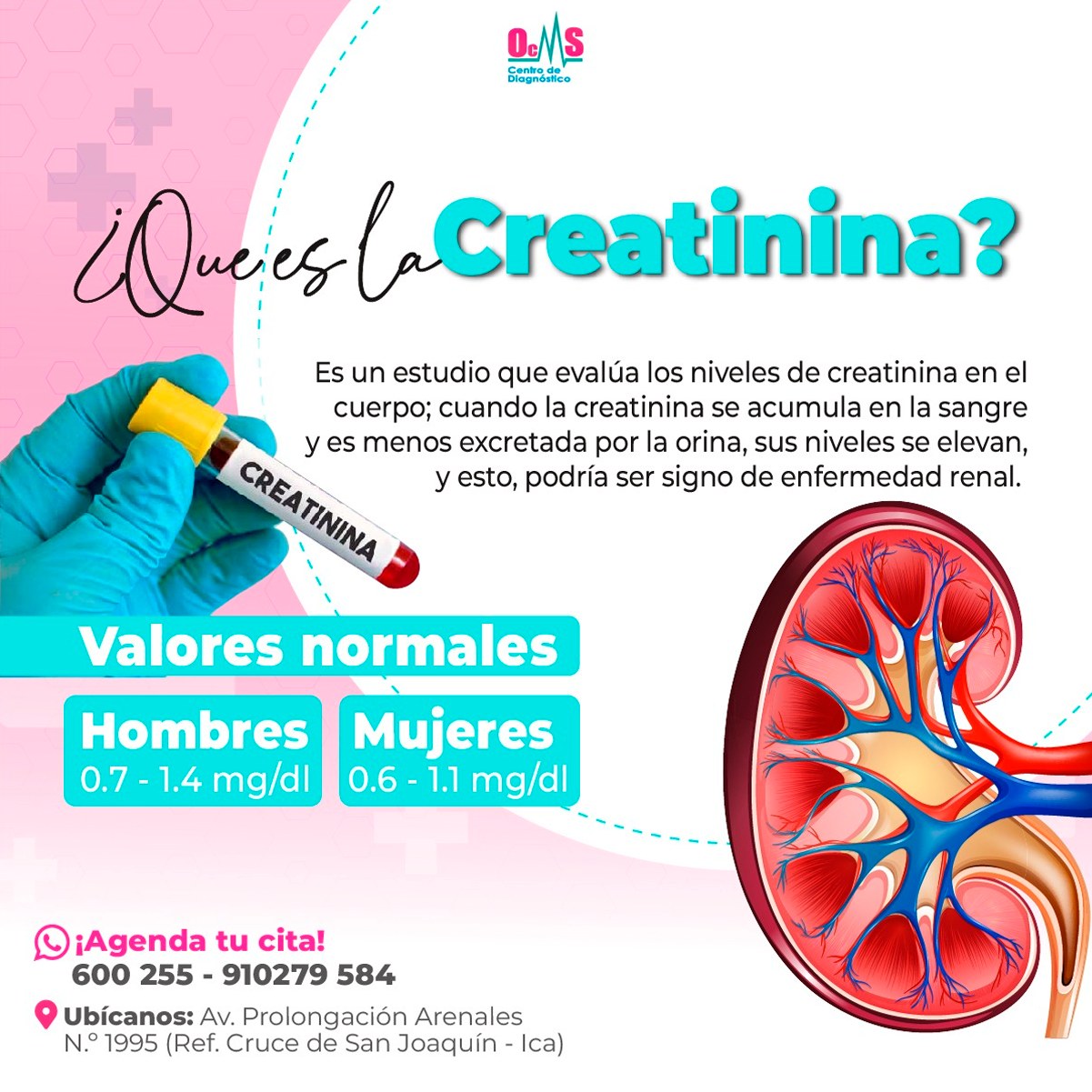 OMS Diagnóstico, Sede ICA - 💁‍♂️¿SABÍAS QUÉ? Un alto nivel de creatinina significa que los ...