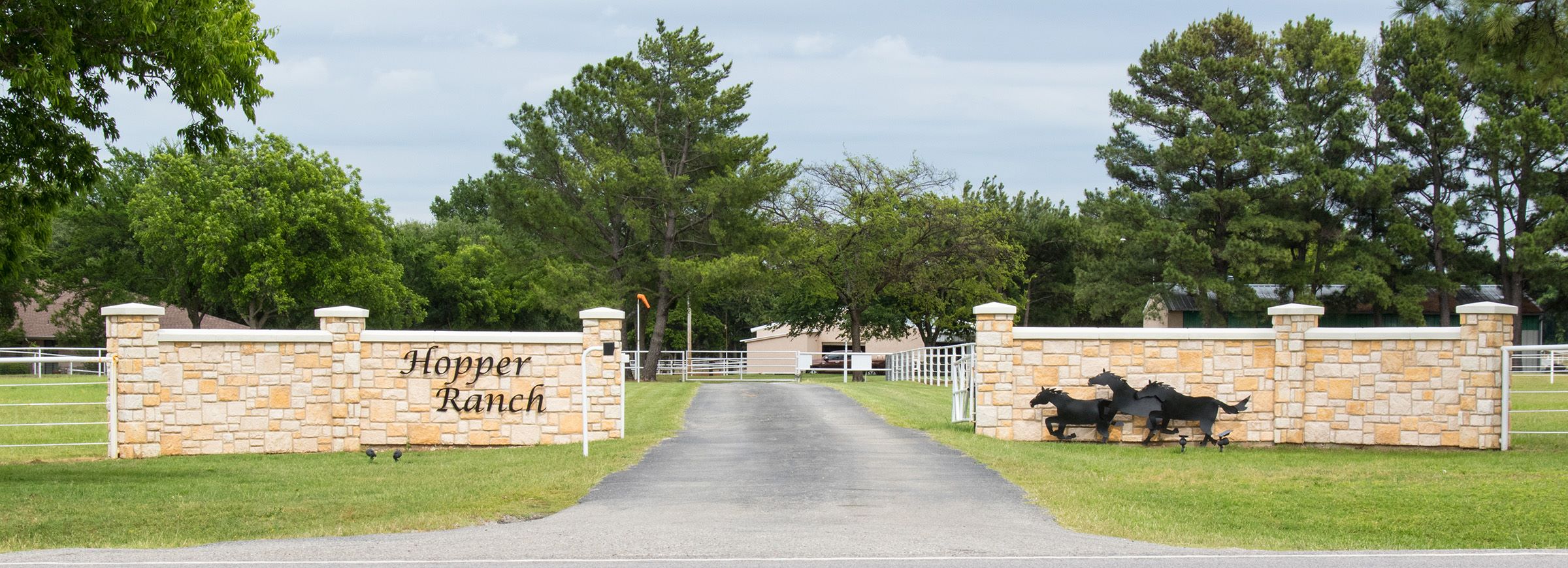 Nine Spur Ranch - Nine Spur Ranch added a new photo.