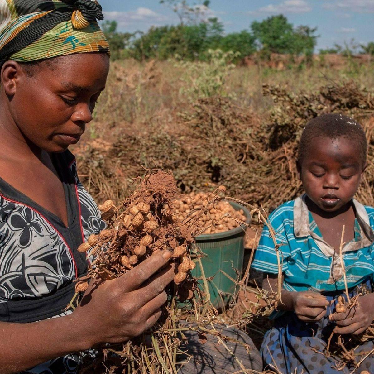 Malawi remains one of the... - Help Malawian Children's | Facebook
