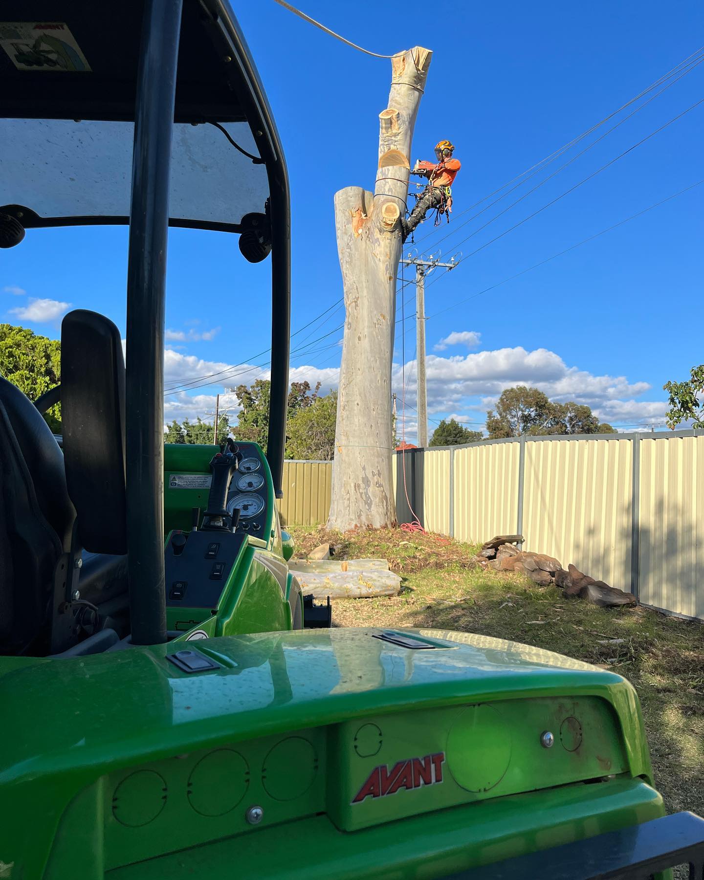 Embark Tree Services