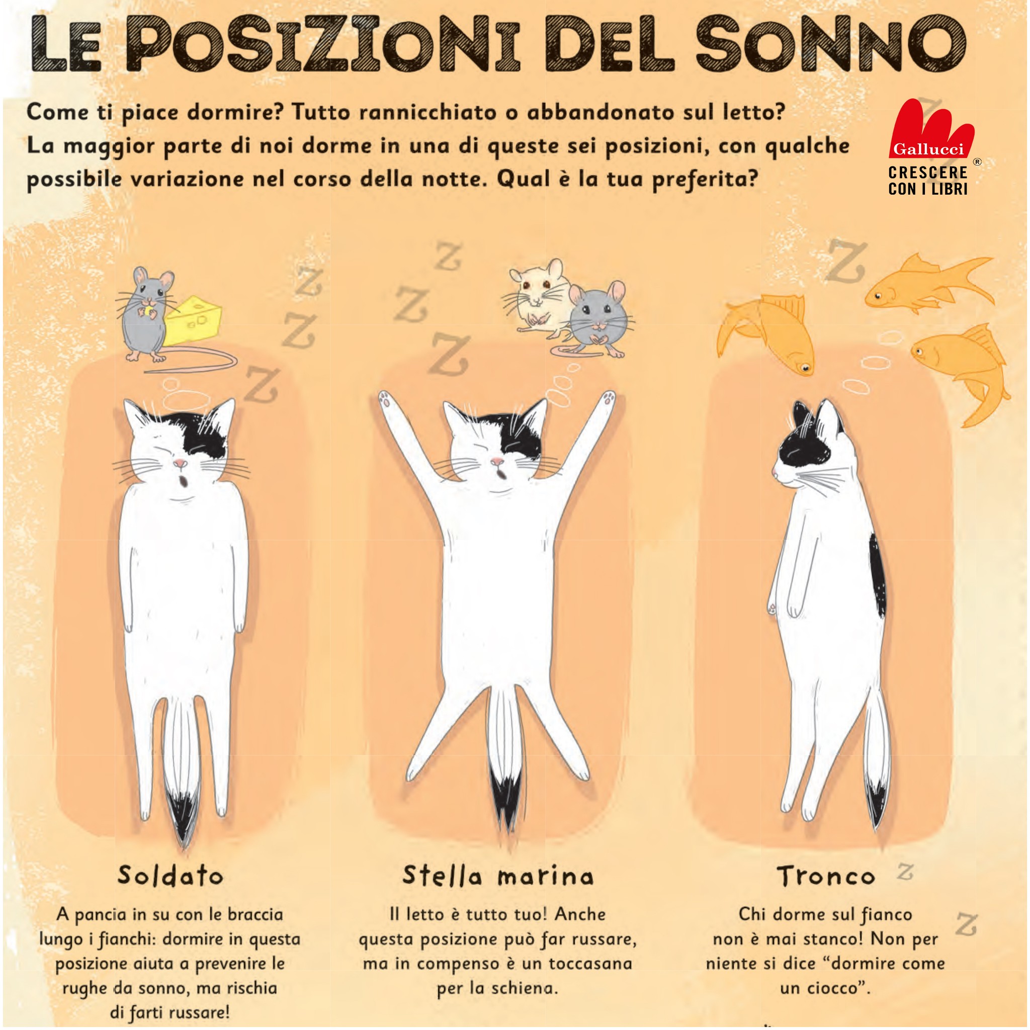 soldato-stella-marina-o-cercatore-gallucci-editore-facebook