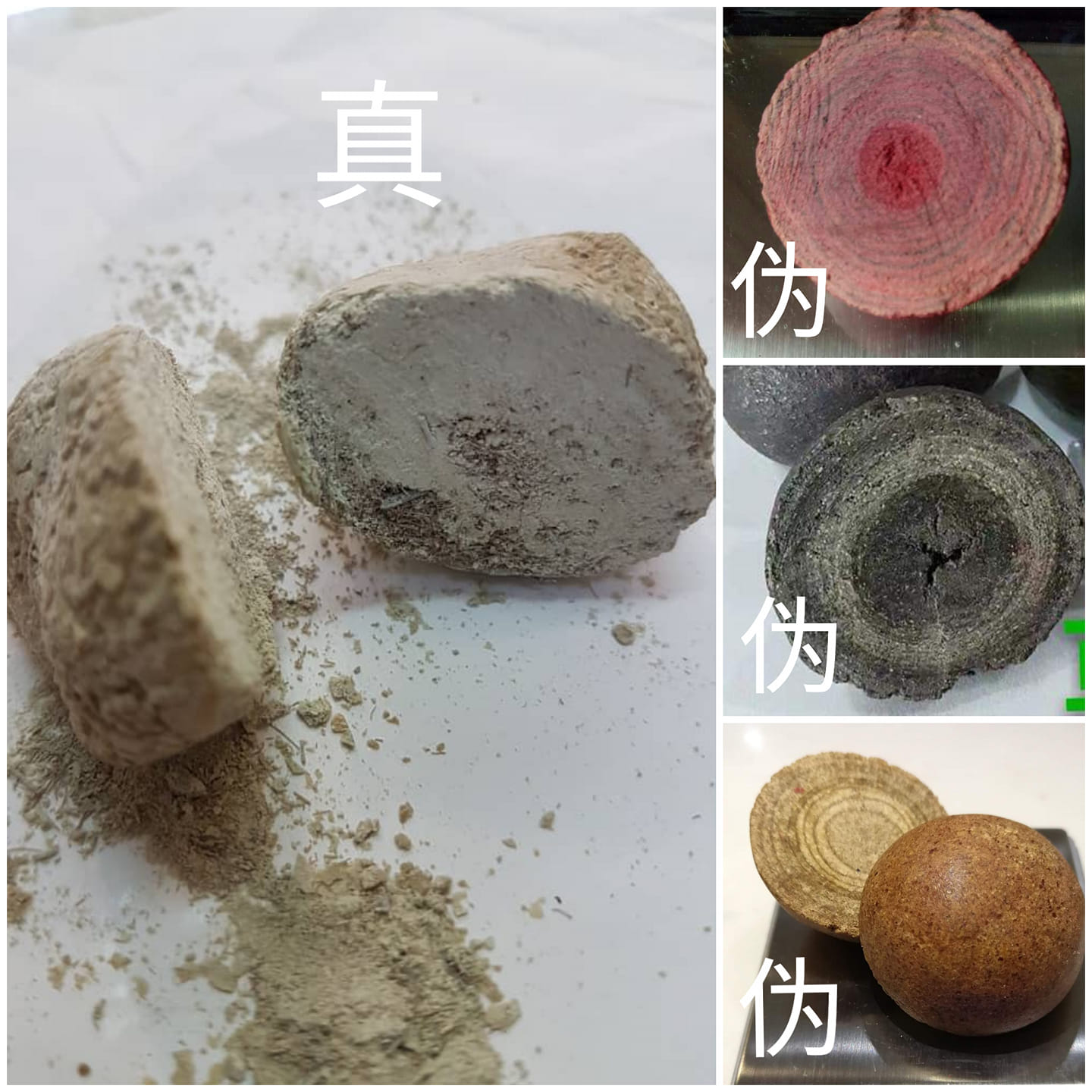 箭猪枣 | Kuala Lumpur