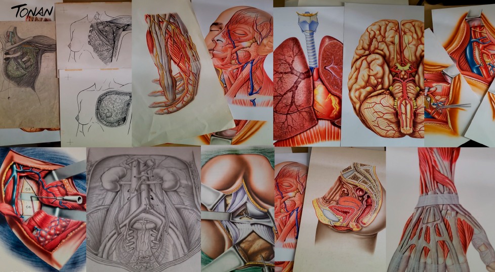 Tonan Ilustração Médica | Facebook