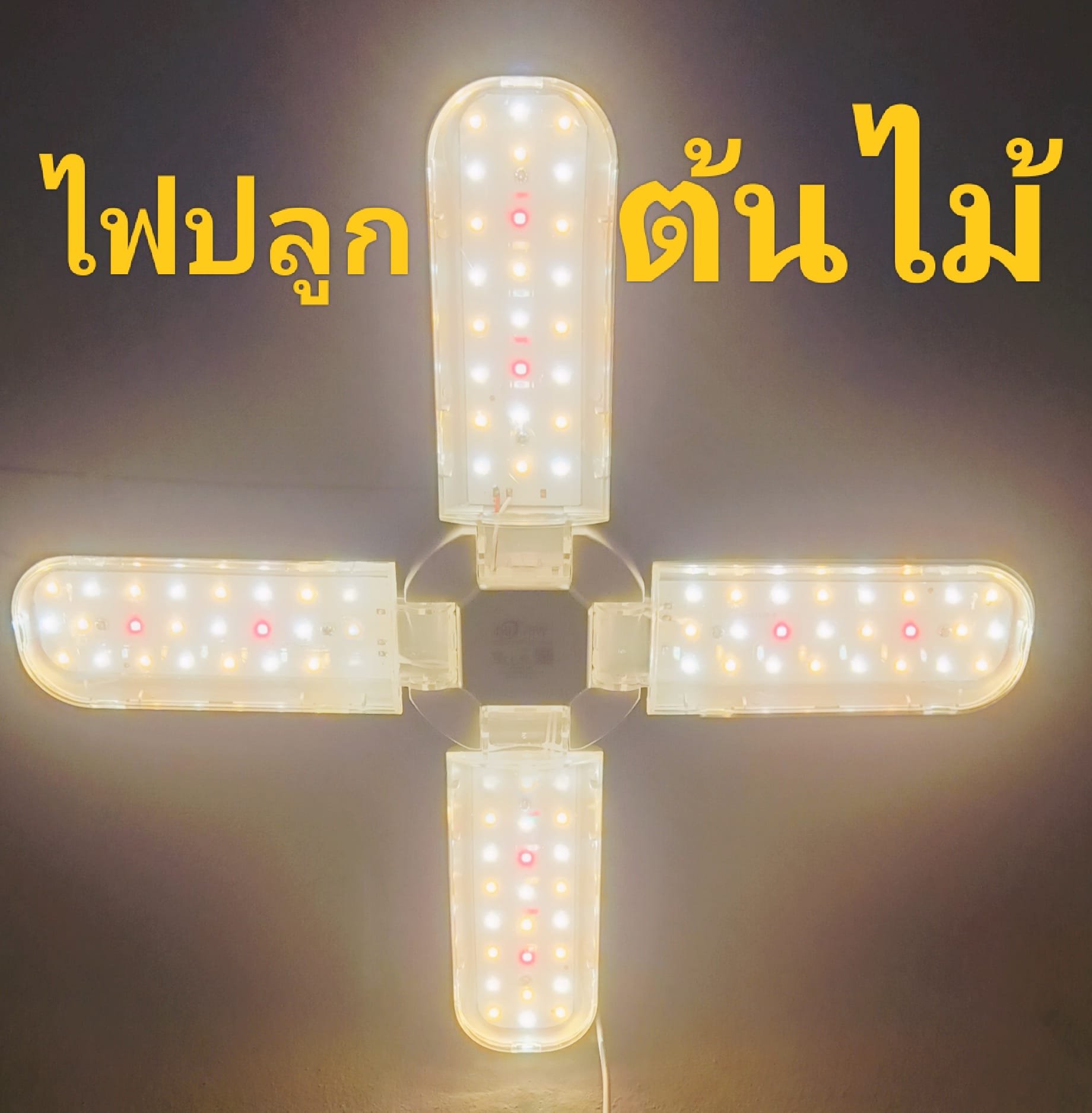 ไฟปลูกต้นไม้ LED GROW LIGHT... - RASA เครื่องใช้ไฟฟ้า | Facebook