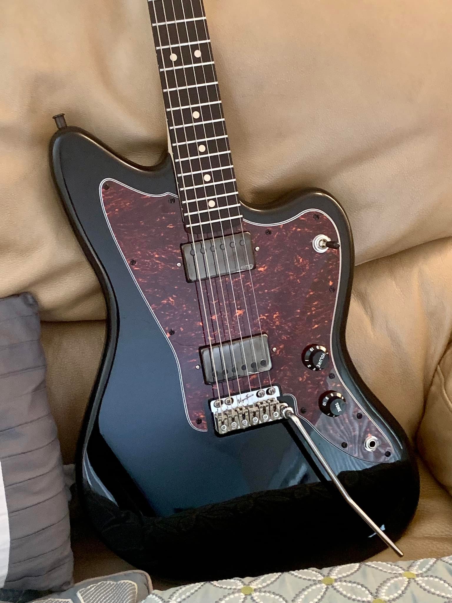 One of my Warmoth builds with EMG SVs and a very nice DIY battery 