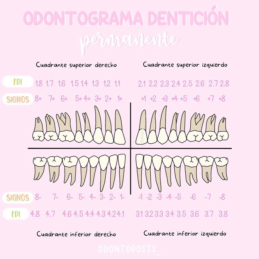 odonto-posts-para-facilitar-la-escritura-y-elaboraci-n-facebook