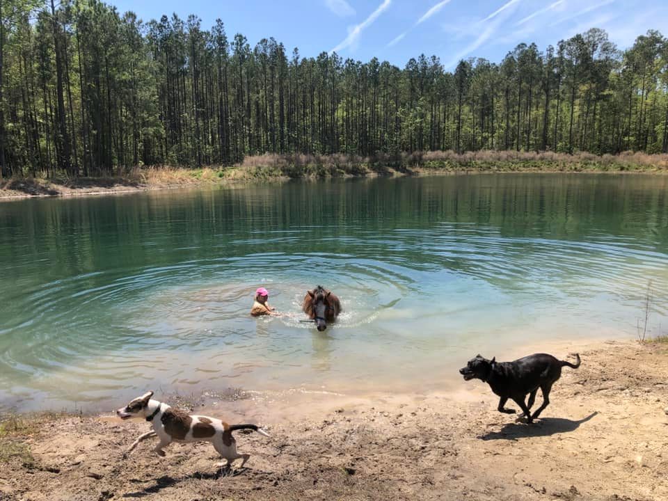 Some pond fun today!!!... - Hackney Riding Stables, LLC | Facebook