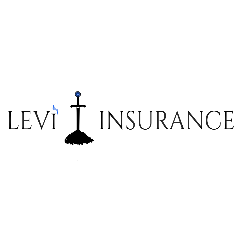 Levi Insurance | Portage IN