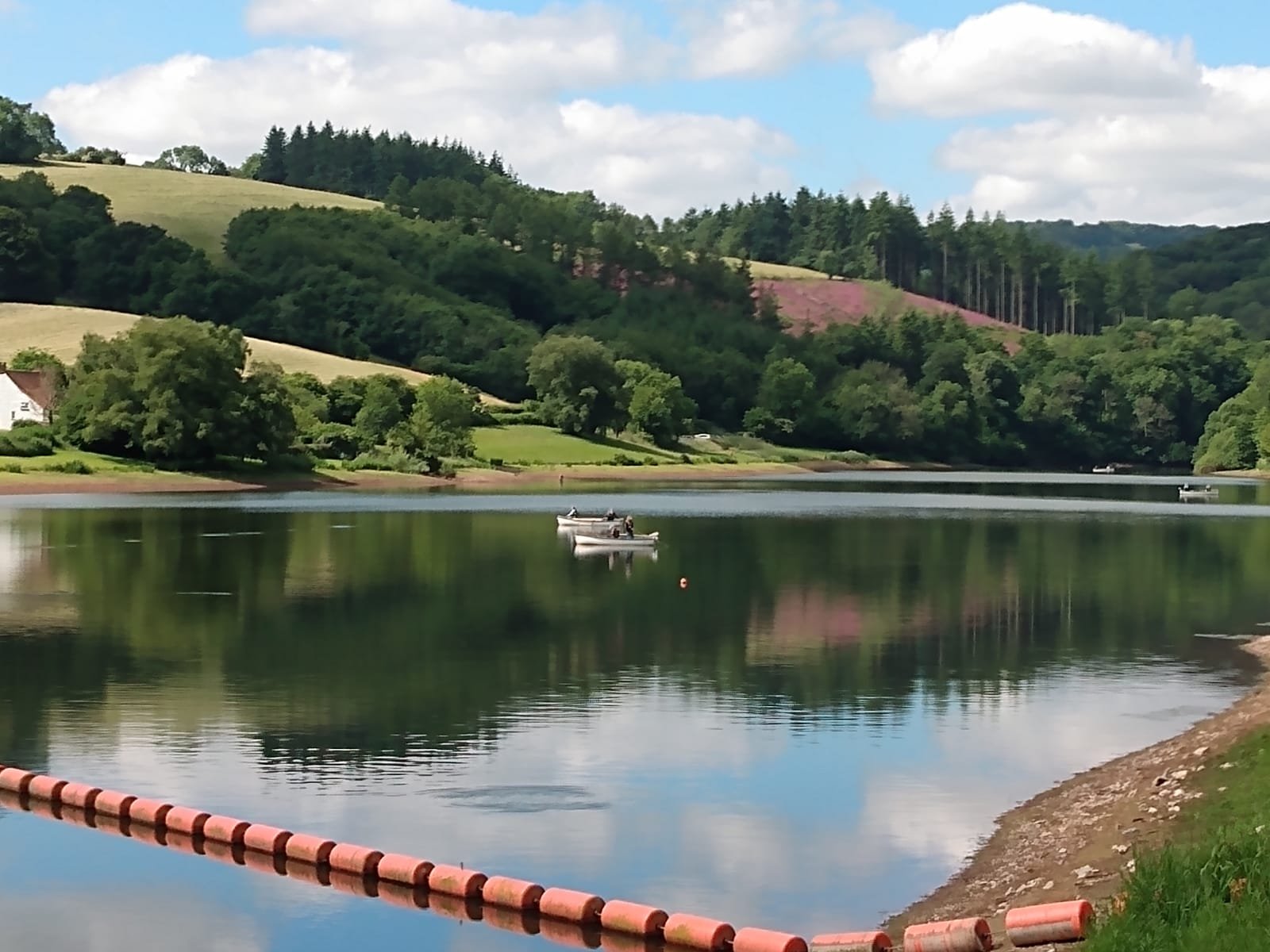 Wessex - Our latest fishing report is now live! 🎣 Hawkridge reservoir's ...