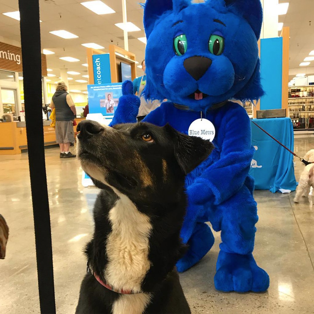 Petco México - ¡Estamos emocionados porque próximamente... | Facebook