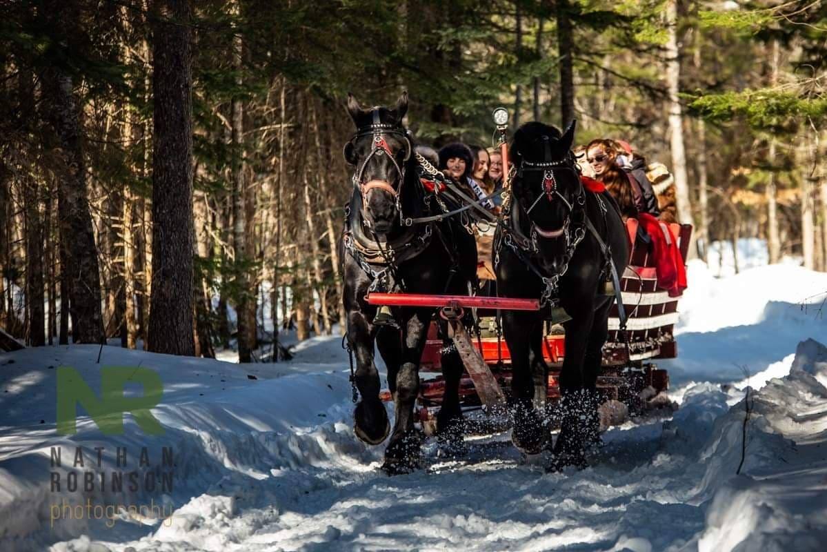 Sandwith's Sleigh Rides added a... - Sandwith's Sleigh Rides