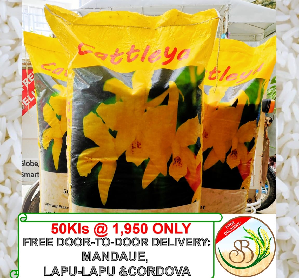 St. Benedict Rice Delivery - CATTLEYA DINORADO QUALITY RICE AT AN ...