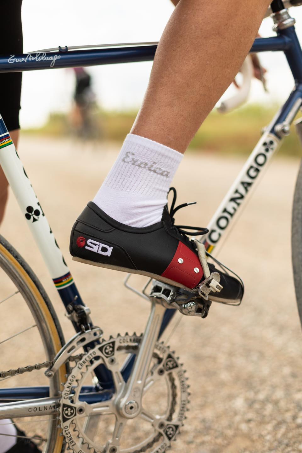 We are excited to introduce a truly unique product: the Tenacia
