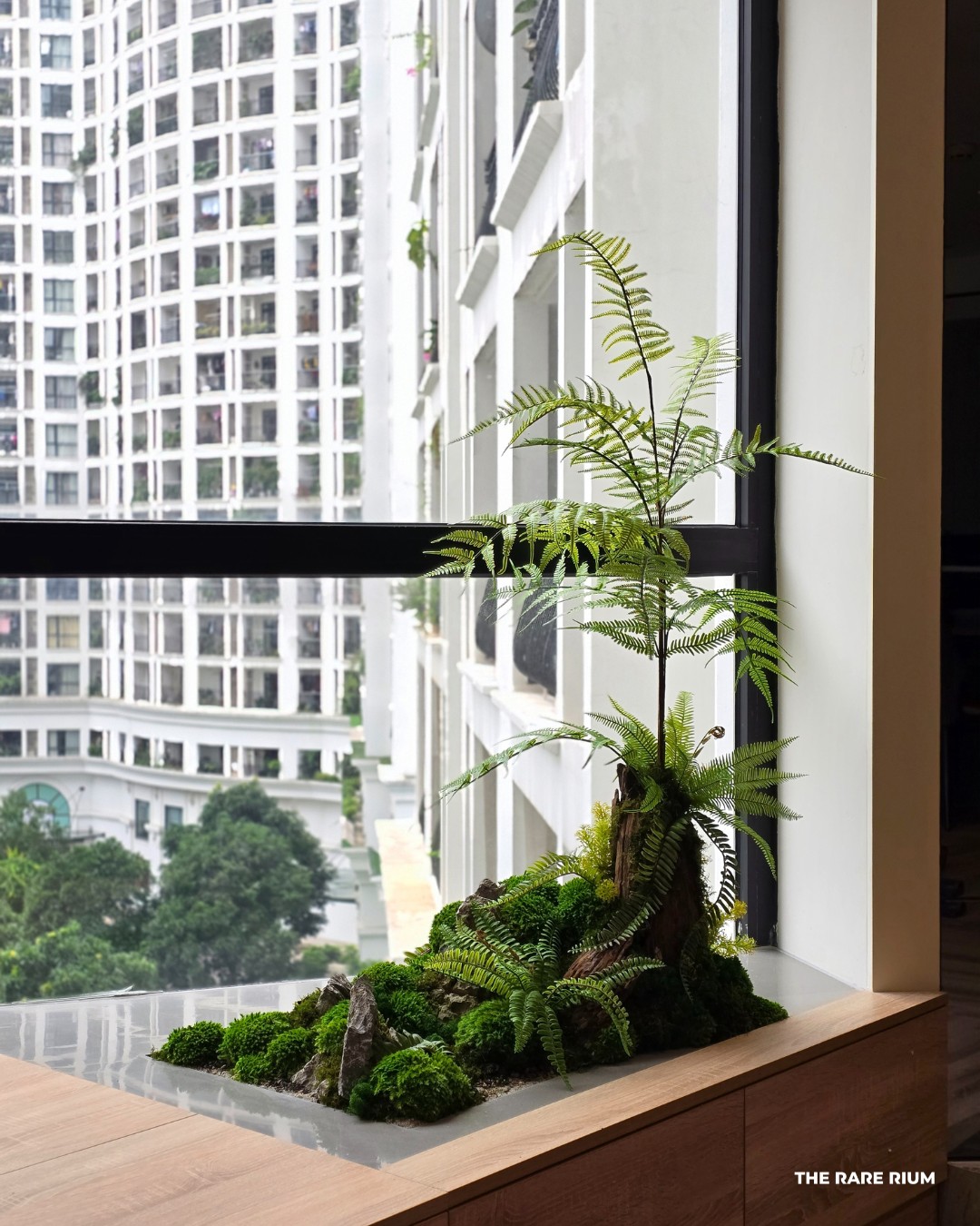 Đẹp như mơ với khu vườn... - The Rare Rium - Plant & Moss Art