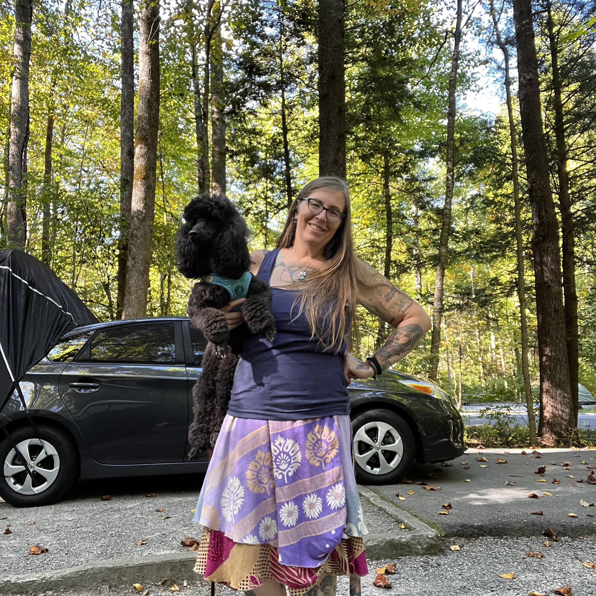 Car Camping | What year is the best Toyota Prius for car camping | Facebook