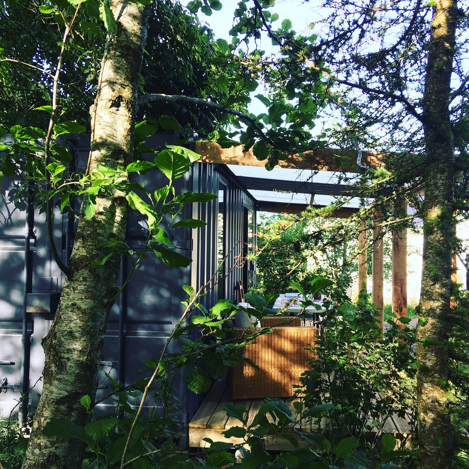 Wild Kitchen | Lahinch