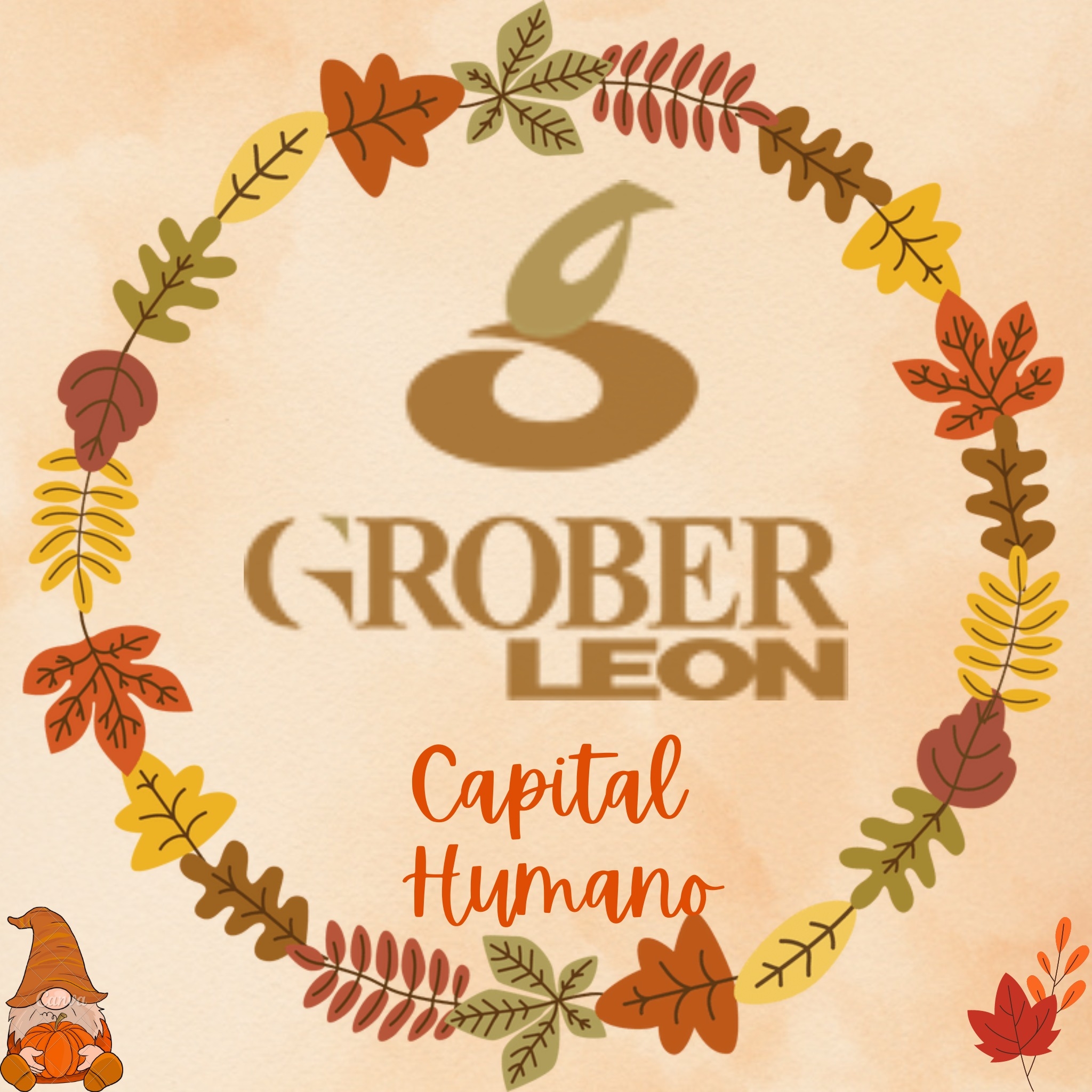 Grober León Vacantes | Mexico City