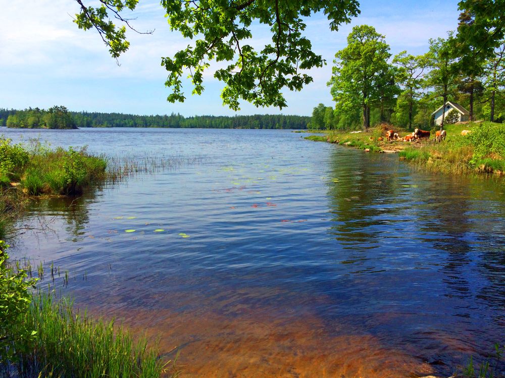 Sommarstuga Hällevik added a new photo. - Sommarstuga Hällevik