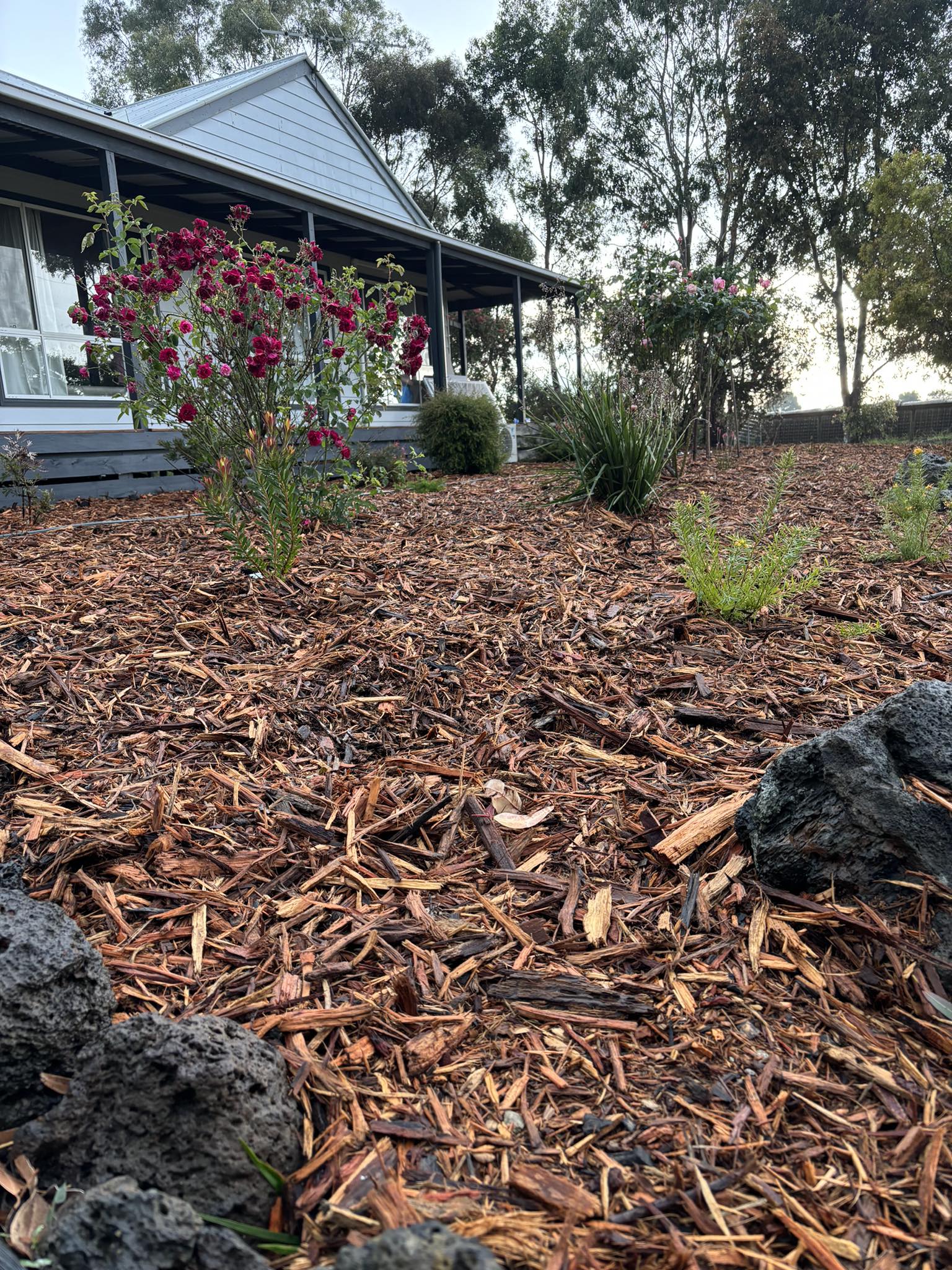Drouin Mulch Yard premium garden mulch