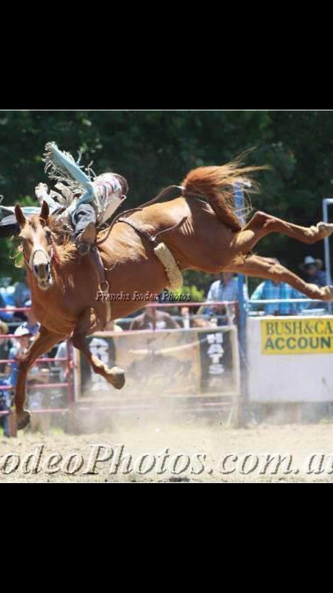 Colt Bruce Memorial Bareback Riding Scholarship