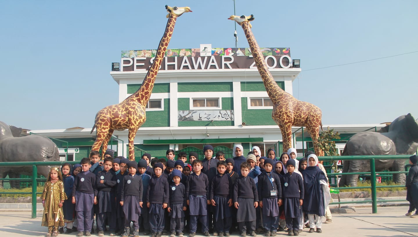 Kindergarten school system Chowa Gujar road Noor khan abad campus ...