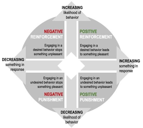 The 4 quadrants otherwise known as... - The Canine Paradigm