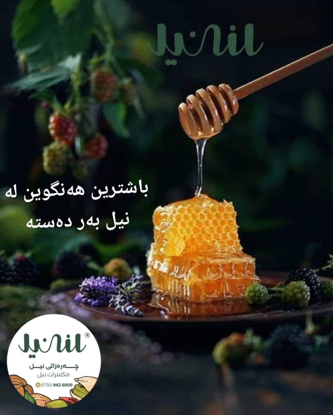 Nil Nuts - چەرەزاتی نیل