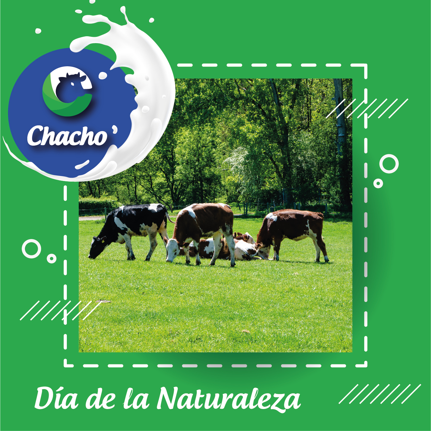 Lacteos - #Verde 🌳 es el color principal del mundo y a partir del cual ...