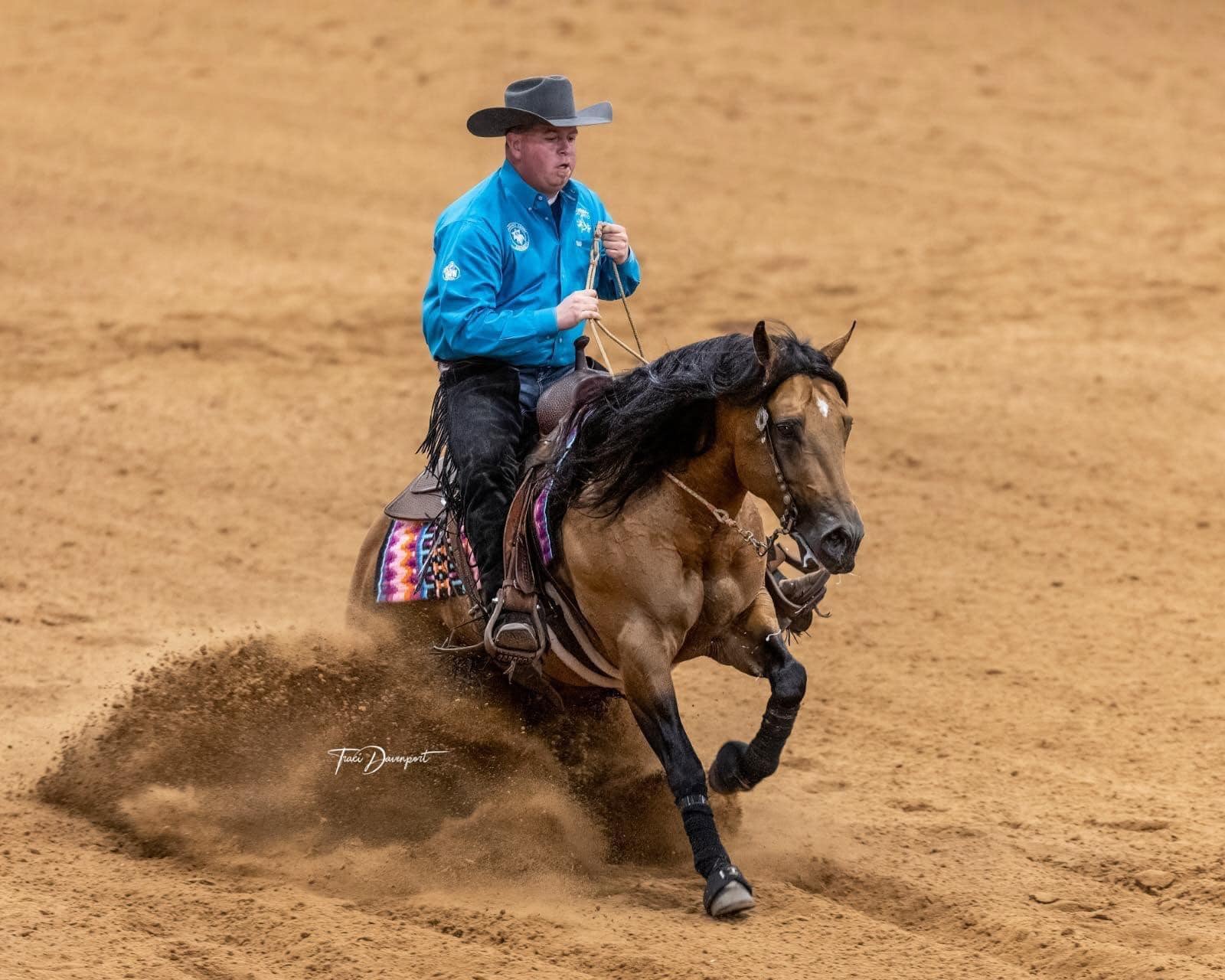 💥 MARVEL is hitting the road to... - The Ranch Equine, Inc.