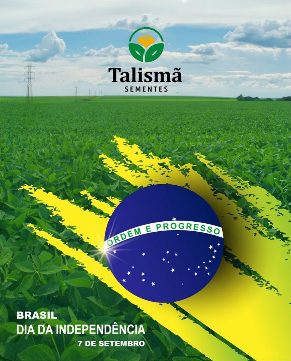 200 anos de nossa independência! Está... - Talismã Sementes | Facebook