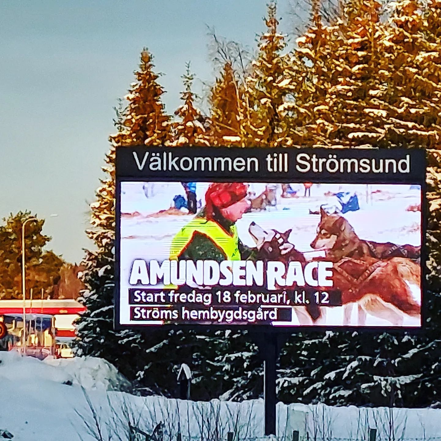 Amundsen - The Mid Scandinavian Sleddog Race - Here's a link to the ...