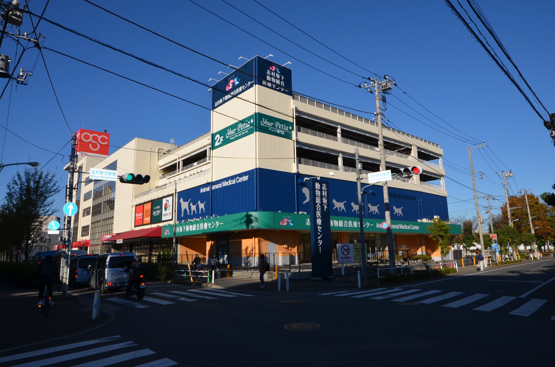 活動歴および当時の関連ビジュアル記録