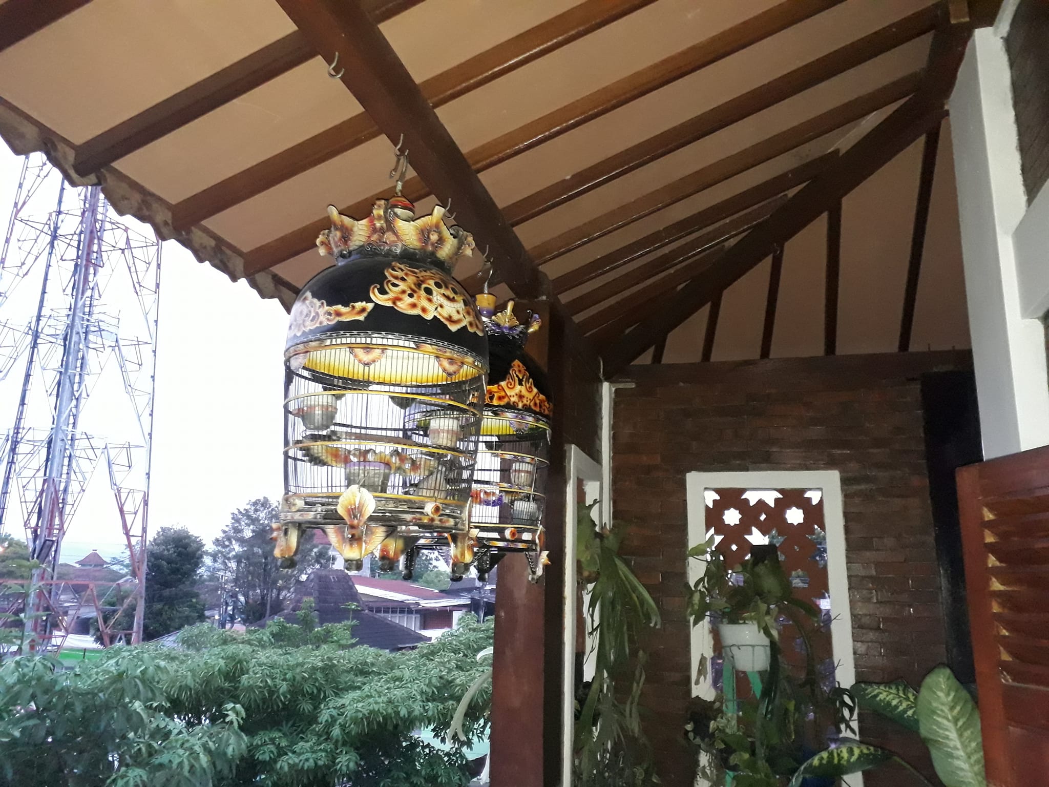 Java bird farm | Yogyakarta City