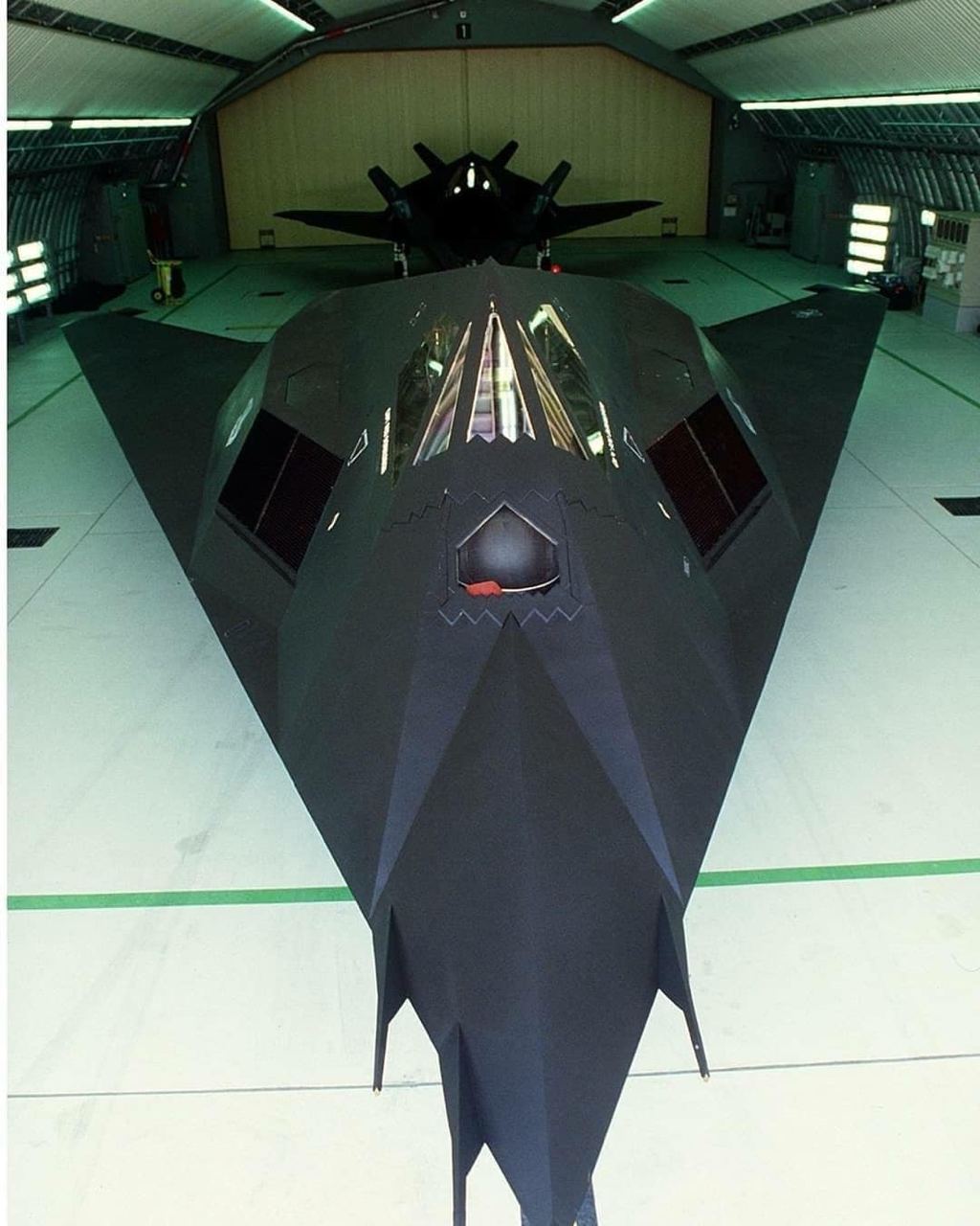 Couple - The F-117 Nighthawk was a groundbreaking stealth attack ...