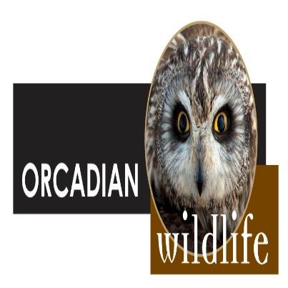 Sadly, Jack Rendall of Rackwick in Hoy... - Orcadian Wildlife