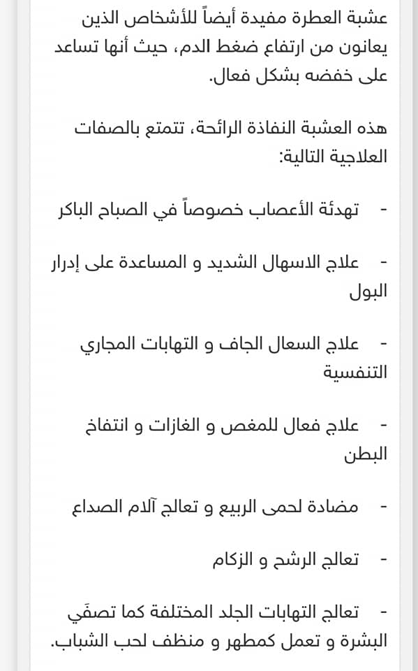 Sama Keserwan نبتة العطرة Facebook