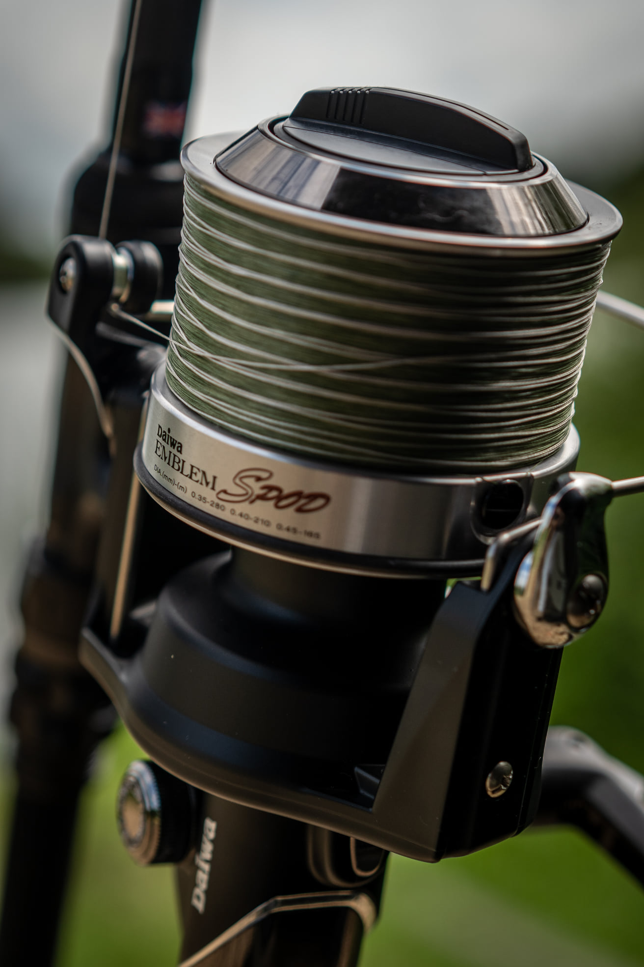 daiwa emblem spod reel spare spool Black Daiwa SCW 35 Deep  GO Outdoors Spod Reel Spool (Emblem)