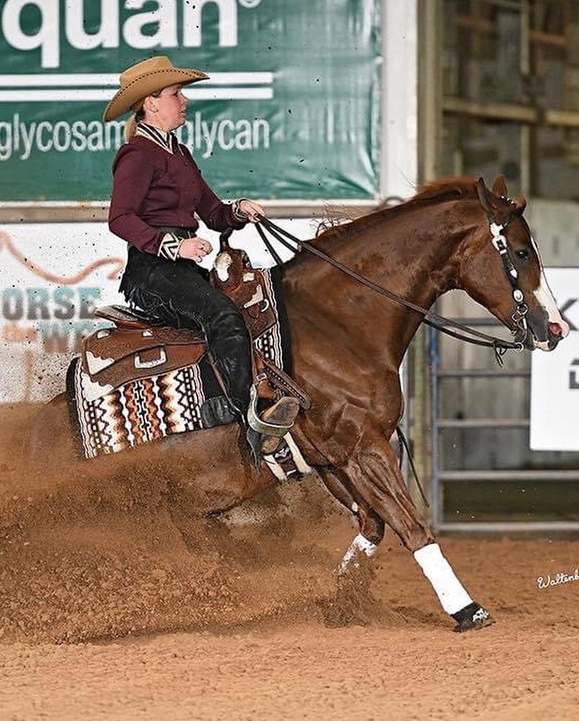 Roper Farms - Non-Pro Futurity Finals today! Show day...